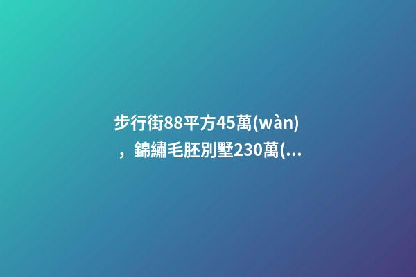 步行街88平方45萬(wàn)，錦繡毛胚別墅230萬(wàn)，城南自建房273平帶院165萬(wàn)